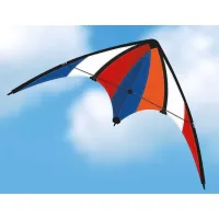 Gunther Twee lijn stunt Vlieger Delta Loop 100 cm